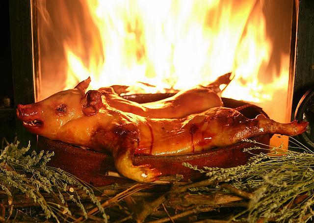 cochinillo