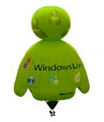 msn_win
