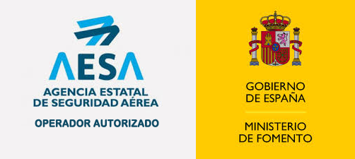 AESA Logo